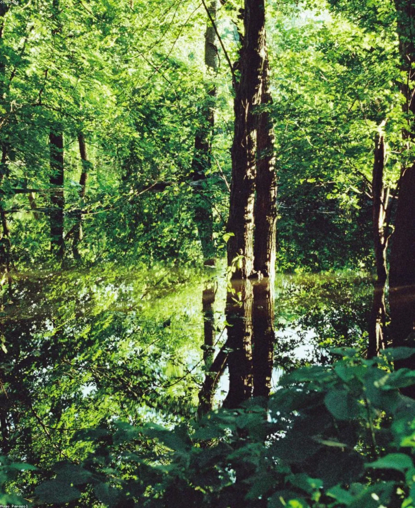 Ruhige Naturstimmung – Sinnbild für Erholung in der Klassische Massage SK