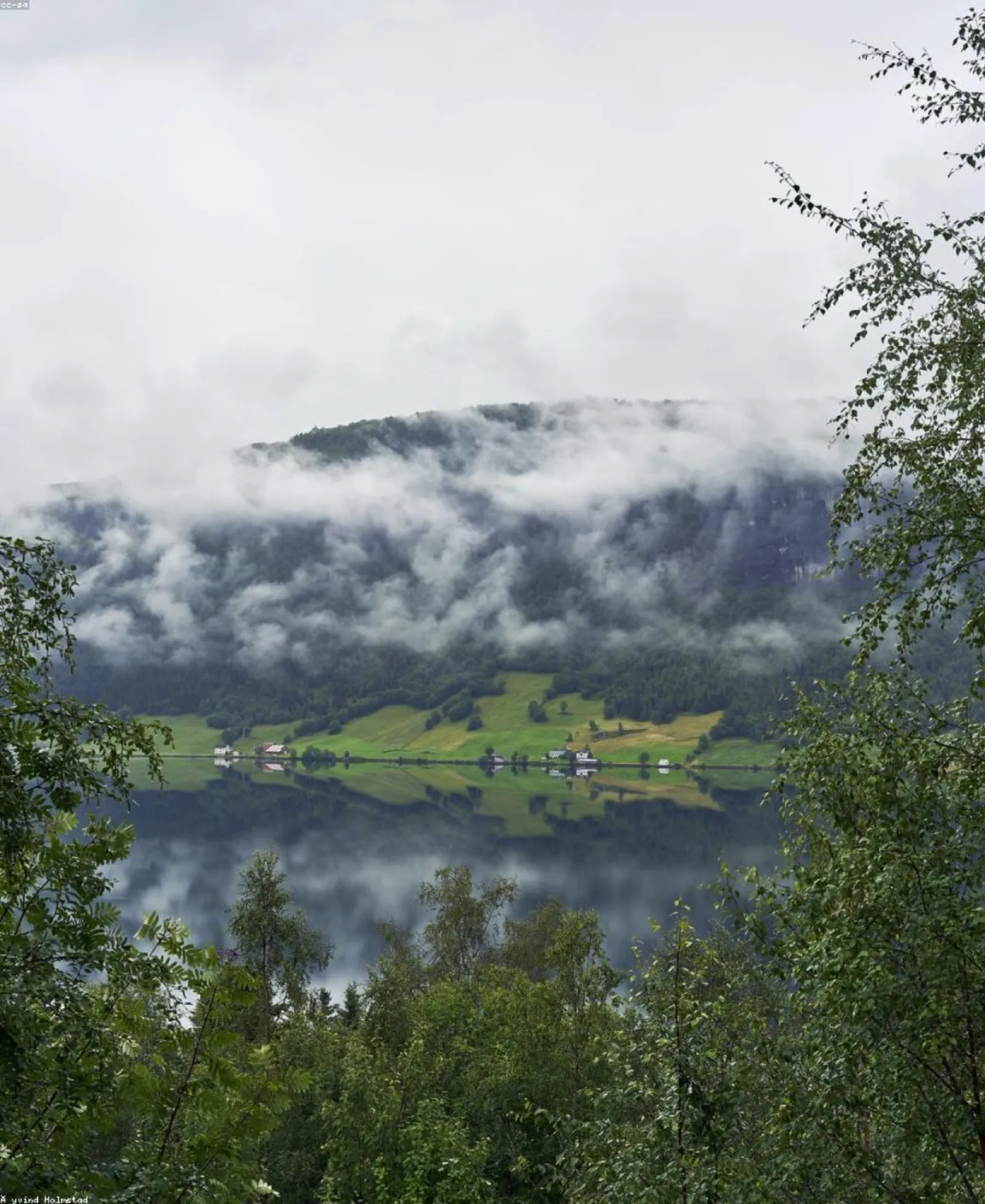 Ruhige Naturstimmung